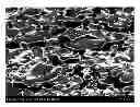 Fig. 01 - Polymer alloy and rubber product, and production method thereof