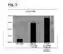 Fig. 04 - Methods for the identification and repair of amino acid residues destabilizing single-chain variable fragments (scFv)
