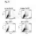 Fig. 06 - Methods for the identification and repair of amino acid residues destabilizing single-chain variable fragments (scFv)