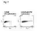 Fig. 08 - Methods for the identification and repair of amino acid residues destabilizing single-chain variable fragments (scFv)