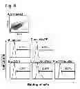 Fig. 09 - Methods for the identification and repair of amino acid residues destabilizing single-chain variable fragments (scFv)