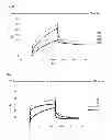 Fig. 02 - Proteinaceous-substance-binding low-molecular-weight compound