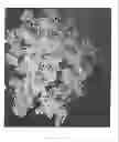 Fig. 02 - Water-absorbing polymer