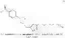 Fig. 72 - Unsymmetrical bisazides for chemoselective sequential ligation