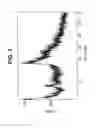 Fig. 02 - Forms of [R-(R*,R*)]-2-(4-fluorophenyl)-β, δ-Dihydroxy-5-(1-methylethyl)-3-phenyl-4-[(phenylamino)carbonyl]-1H-pyrrole-1-heptanoic acid calcium salt (2:1)