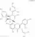 Fig. 04 - USE OF COMPOUNDS ISOLATED FROM MORUS BARK