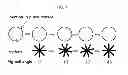 Fig. 08 - SUCCESSIVE GAS HYDRATE MANUFACTURING METHOD