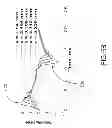 Fig. 09 - Generation and assessment of shear waves in elasticity imaging