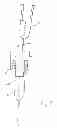 Fig. 09 - Fine needle biopsy with adaptor