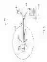 Fig. 07 - Methods and dressing systems for promoting healing of injured tissue