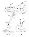 Fig. 19 - Methods and dressing systems for promoting healing of injured tissue