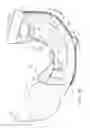 Fig. 20 - Absorbent insert
