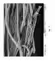 Fig. 09 - STRETCHABLE LAMINATES FOR ABSORBENT ARTICLES AND METHODS FOR MAKING THE SAME