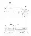 Fig. 02 - SURGICAL SHAFT-TYPE INSTRUMENT