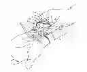Fig. 01 - Radial artery compression device