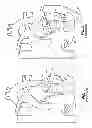 Fig. 02 - SYSTEM AND METHOD FOR THE TREATMENT OF HEART TISSUE
