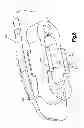 Fig. 07 - Expandable interbody spacer device