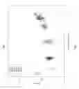Fig. 07 - Mapping cognitive to functional ability