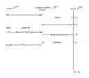 Fig. 07 - Universal system for enabling dynamically discounted buyer-vendor payments