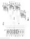 Fig. 02 - INFORMATION PROCESSING SYSTEM AND METHOD FOR TRACKING GEOGRAPHICALLY TARGETED ADVERTISEMENTS