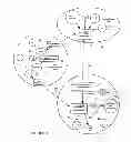 Fig. 02 - Online electronic transaction and funds transfer method and system