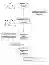 Fig. 01 - Constructing incremental tree model for vein image recognition and authentication