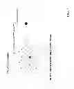 Fig. 08 - Constructing incremental tree model for vein image recognition and authentication