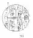 Fig. 03 - Systems, Apparatuses, Methods and Computer Executable Code for Providing Interactive Friends and/or Contacts Graphic User Interfaces