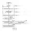 Fig. 03 - INFORMATION PROCESSING DEVICE AND METHOD FOR SETTING VOICE COMMUNICATION FUNCTION