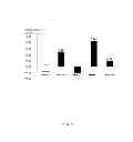 Fig. 08 - miRNA expression vector