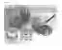 Fig. 02 - Dual purpose pollenizer watermelons