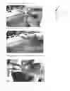 Fig. 07 - Dual purpose pollenizer watermelons