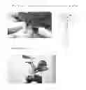 Fig. 09 - Dual purpose pollenizer watermelons
