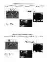 Fig. 22 - Mode-synthesizing atomic force microscopy and mode-synthesizing sensing