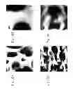 Fig. 27 - Mode-synthesizing atomic force microscopy and mode-synthesizing sensing
