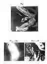 Fig. 28 - Mode-synthesizing atomic force microscopy and mode-synthesizing sensing