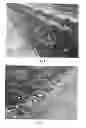 Fig. 02 - Strawberry plant named 'MARISOL'