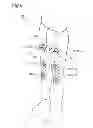 Fig. 10 - Garment