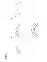 Fig. 12 - Garment