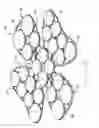 Fig. 07 - MULTILAYER IMPACT ATTENUATING INSERT FOR HEADGEAR