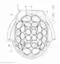 Fig. 09 - MULTILAYER IMPACT ATTENUATING INSERT FOR HEADGEAR
