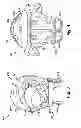 Fig. 03 - Head and neck protection system
