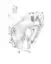 Fig. 03 - Shoulder pads