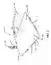 Fig. 03 - Swimming pool pillow
