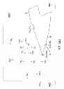 Fig. 06 - Shoe with composite upper and foam element and method of making same