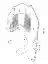 Fig. 35 - Shoe with composite upper and foam element and method of making same