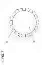 Fig. 08 - Device for use in horticultural containers