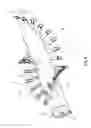 Fig. 07 - Windrow turning apparatus