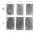 Fig. 01 - Trace analyte extraction using adsorptive carbide-derived nanoporous carbon powders