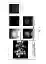 Fig. 09 - Method for Manufacturing Metal Nanoparticles Having a Core-Shell Structure with Good Oxidation Stability